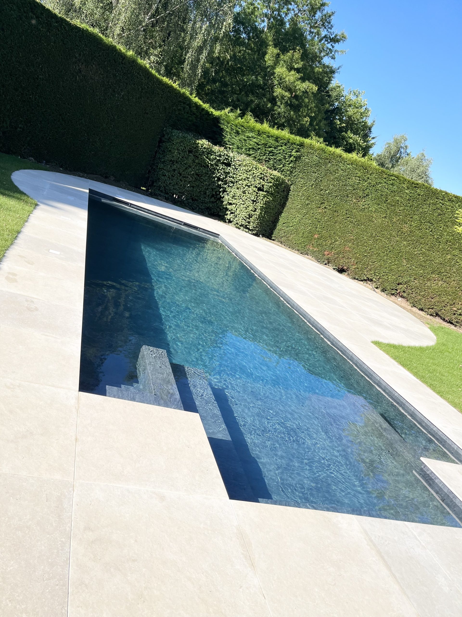 Piscine 12m / 4m à Braine - jacuzzi et bulléo intégrés + terrasses